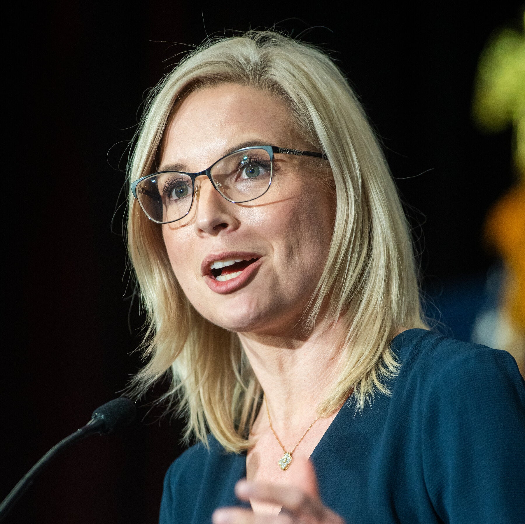 Attacks Over Epstein Files Lobbed in Iowa Senate Ads